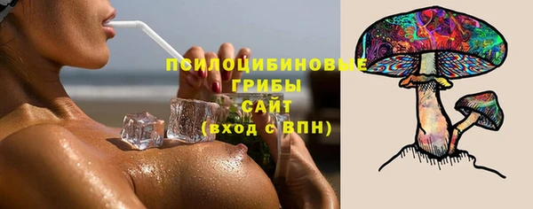 PSILOCYBIN Новодвинск