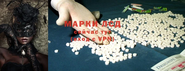 PSILOCYBIN Новодвинск