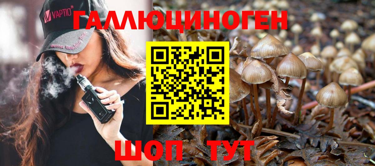 Ступино  Галлюциногенные грибы ЛСД  Вход с VPN 